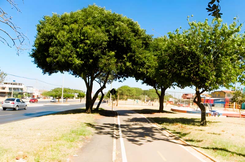 frete-mudanca-setor-o